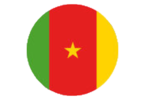 Cameroun-flamant-paris